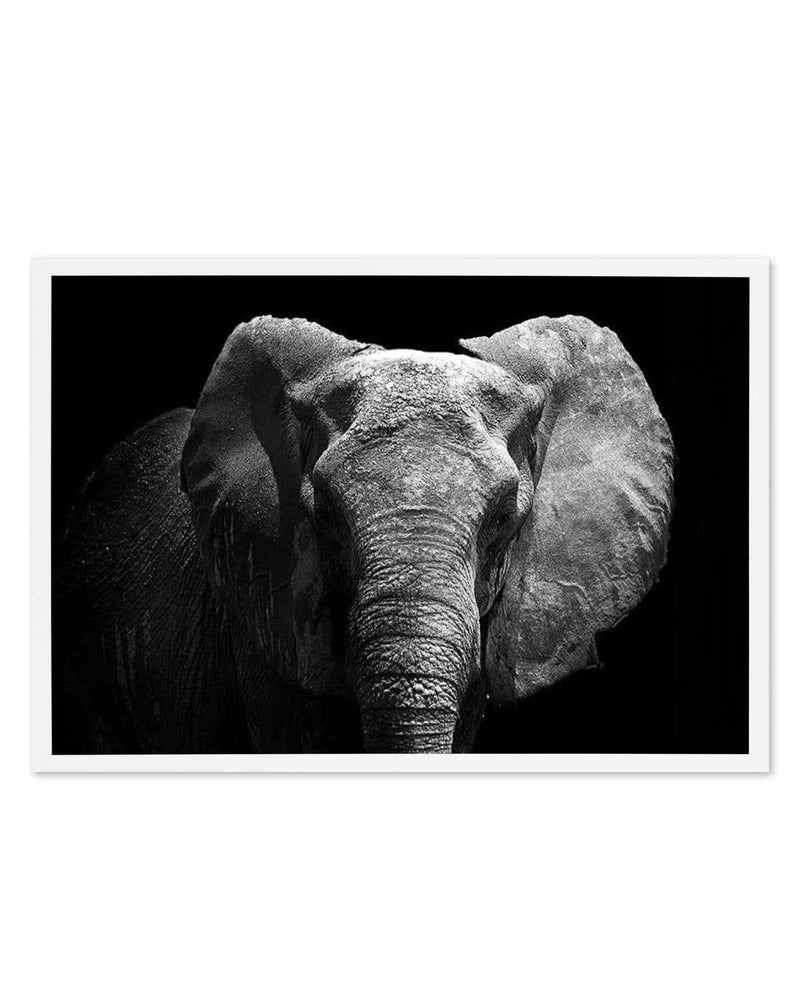 Elephant De Nuit | LS Art Print