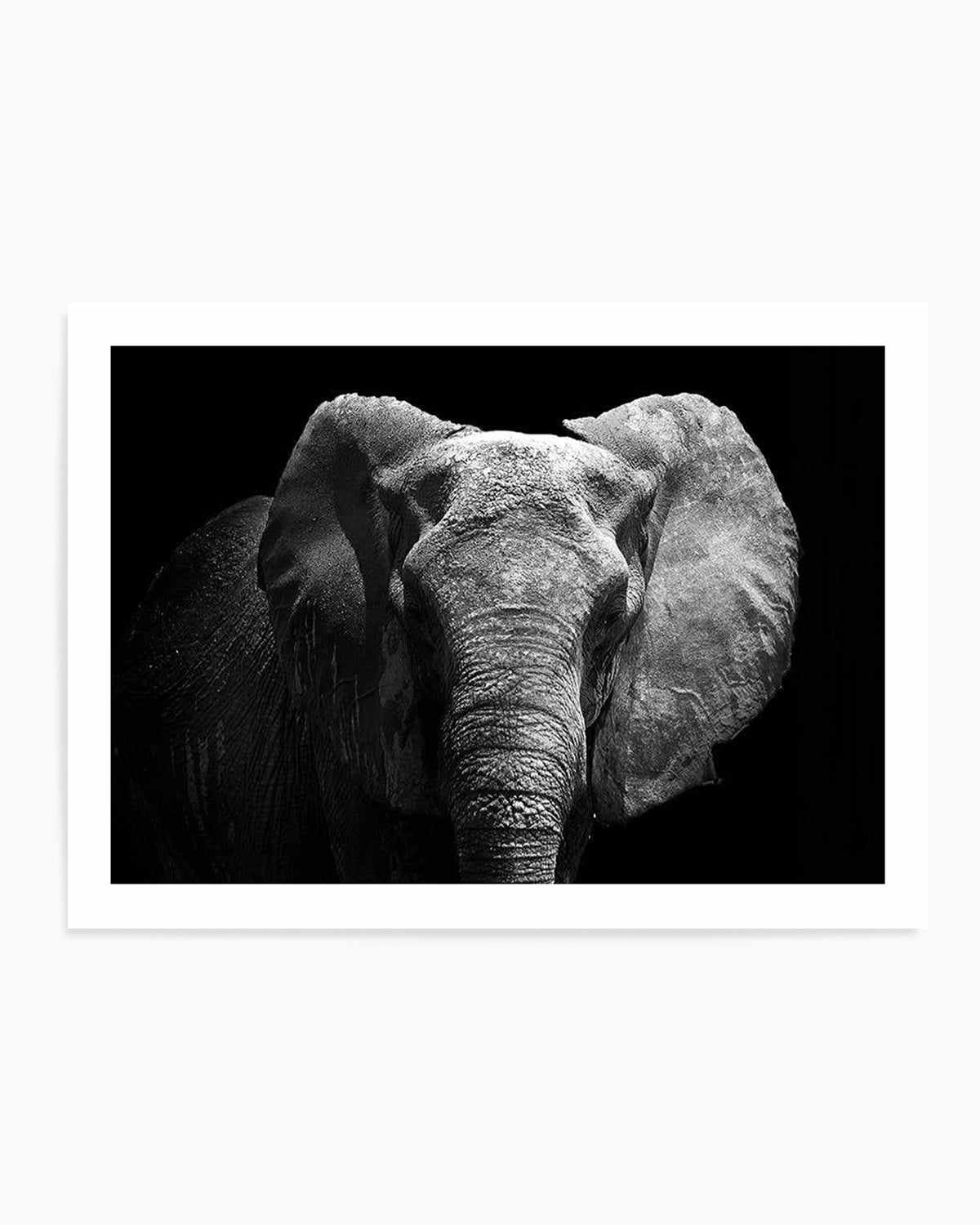 Elephant De Nuit | LS Art Print