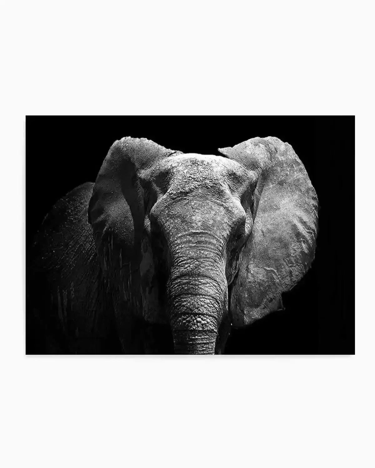 Elephant De Nuit | LS Art Print from Olive et Oriel where you can shop wallpaper and artworks online