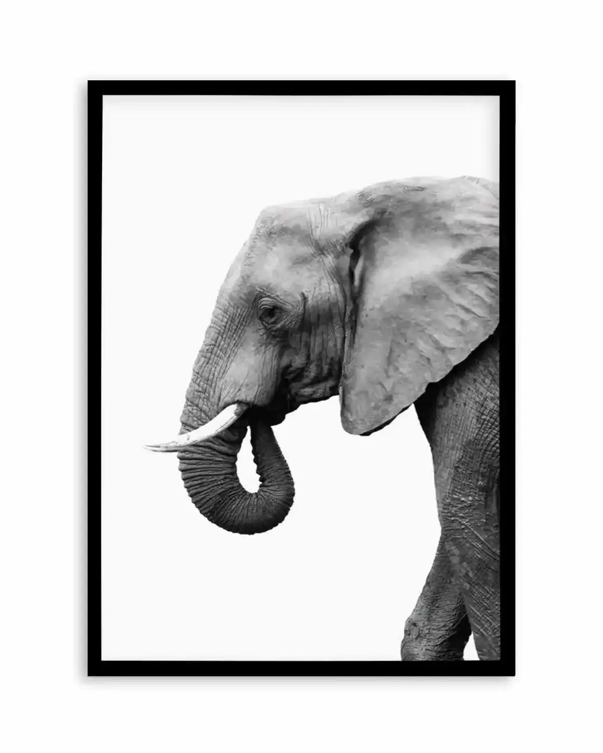 Elephant I Art Print from Olive et Oriel where you can shop wallpaper and artworks online