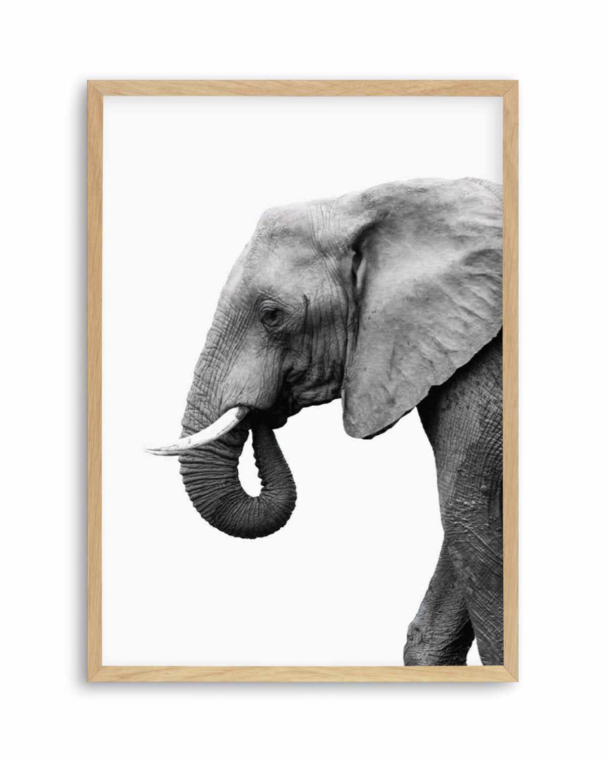 Elephant I Art Print