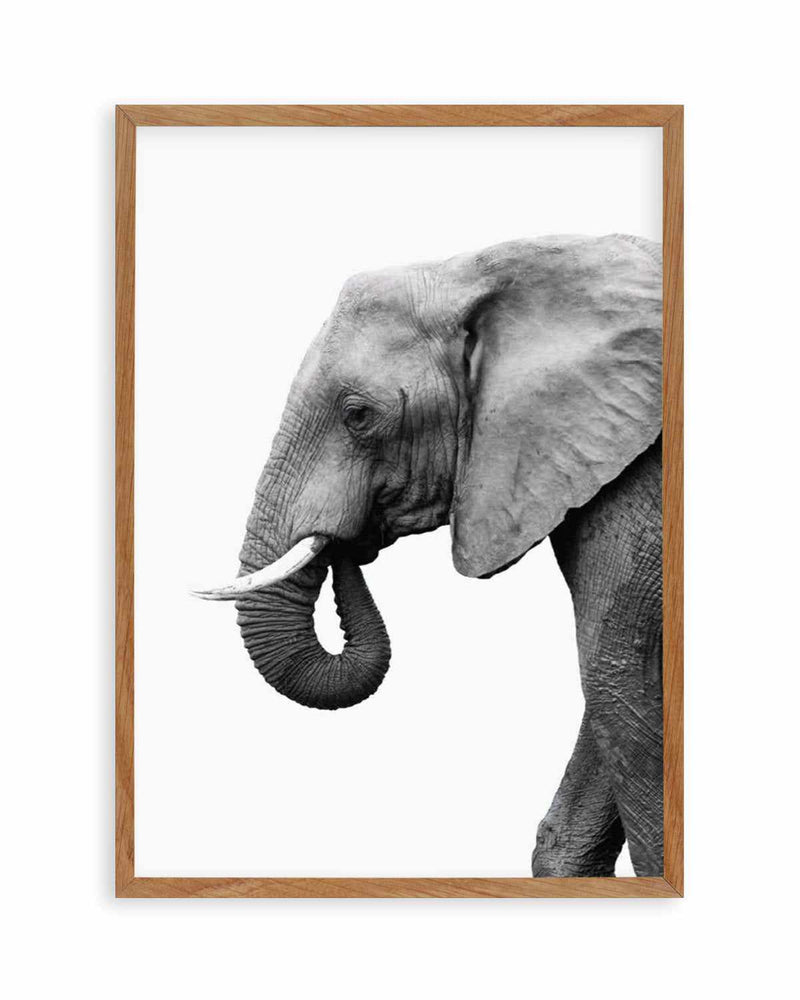 Elephant I Art Print