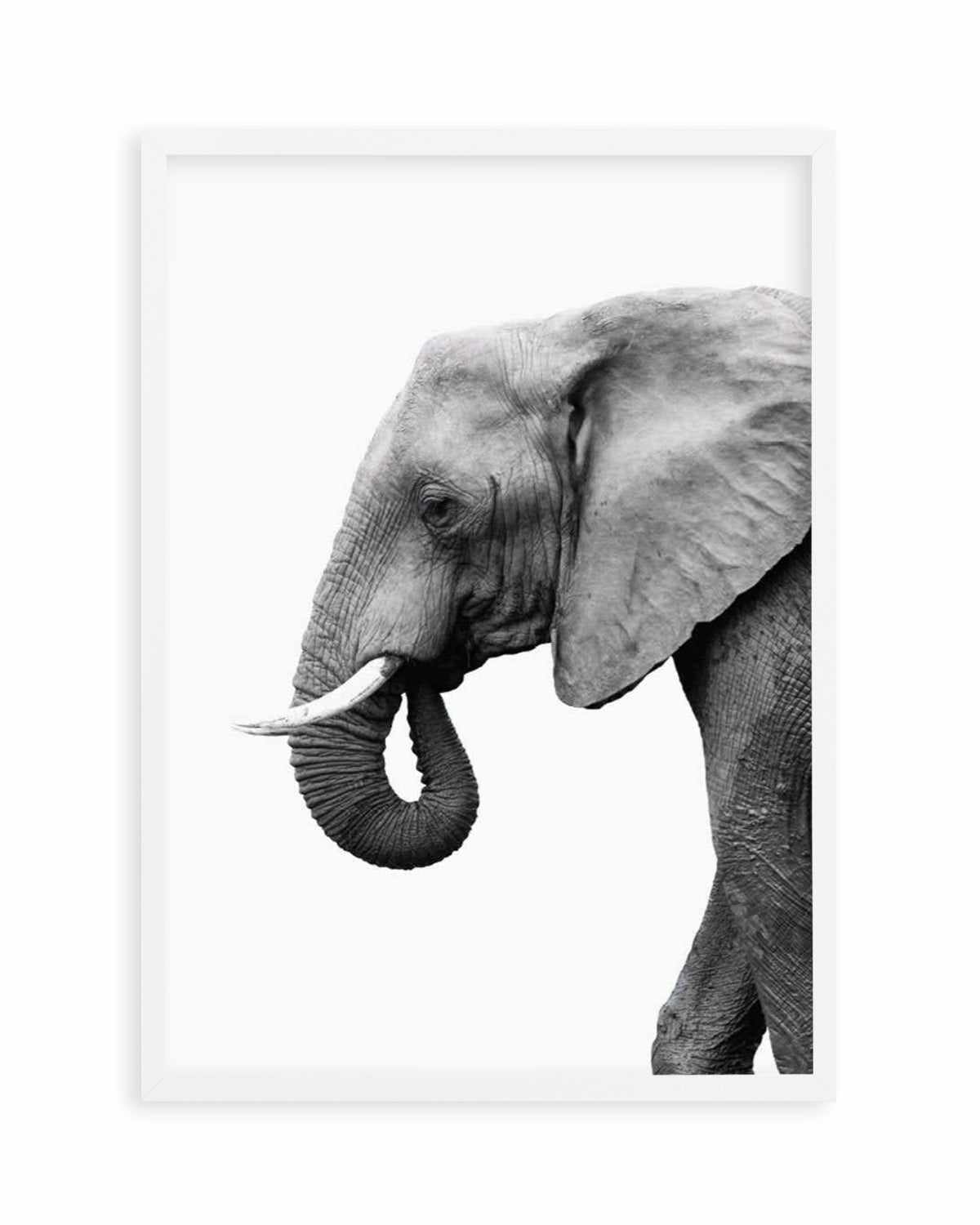 Elephant I Art Print