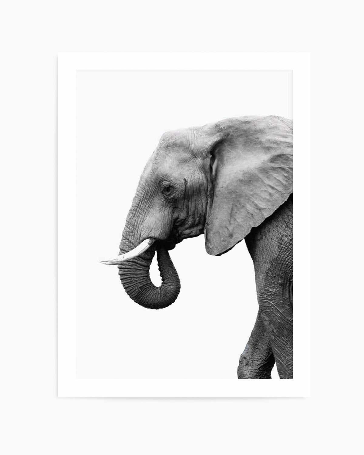 Elephant I Art Print