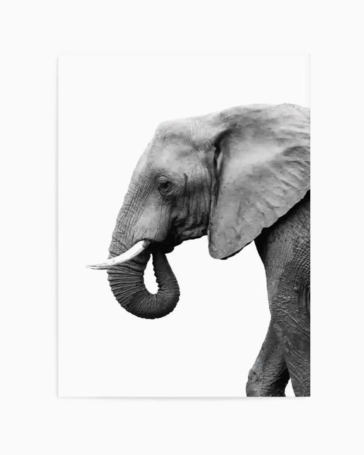 Elephant I Art Print from Olive et Oriel where you can shop wallpaper and artworks online