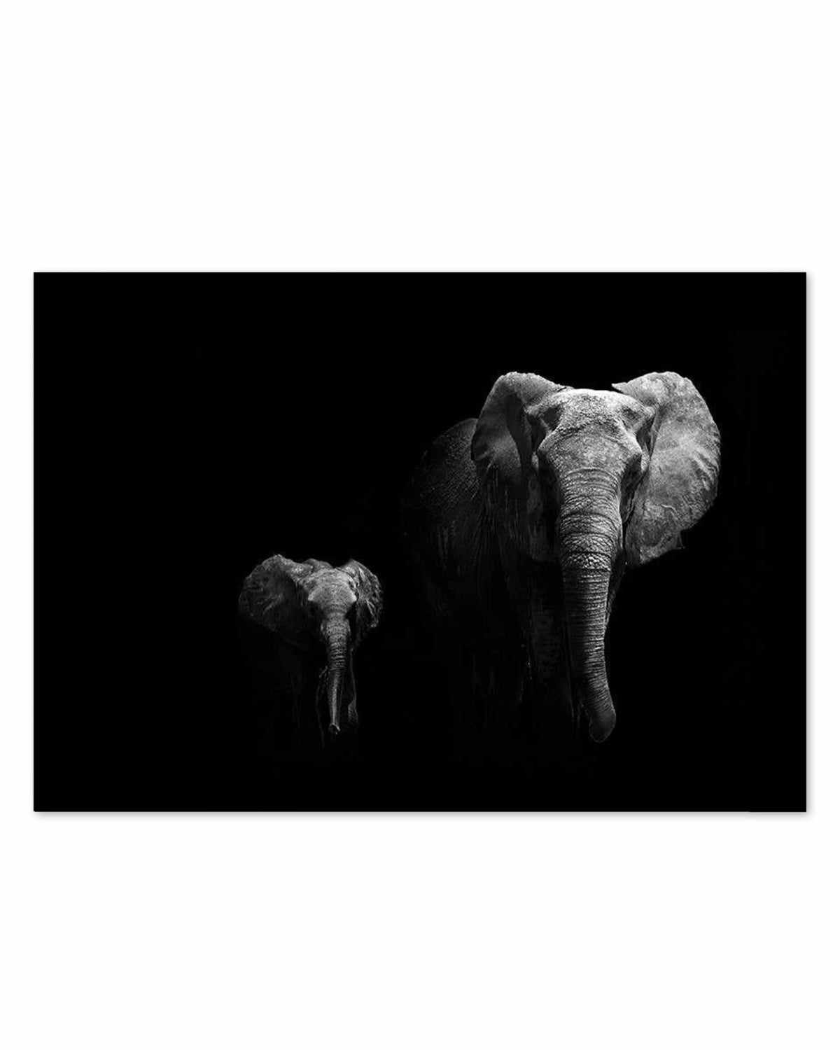 Elephant Par Deux | LS Art Print