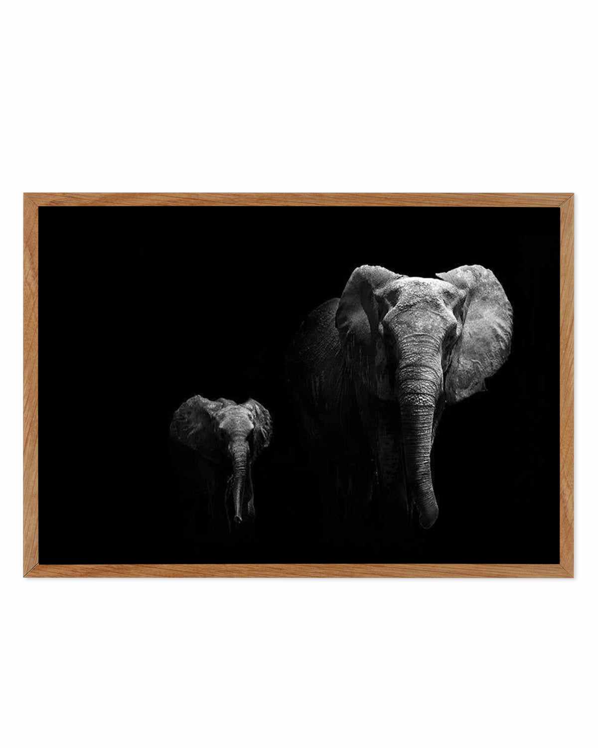 Elephant Par Deux | LS Art Print