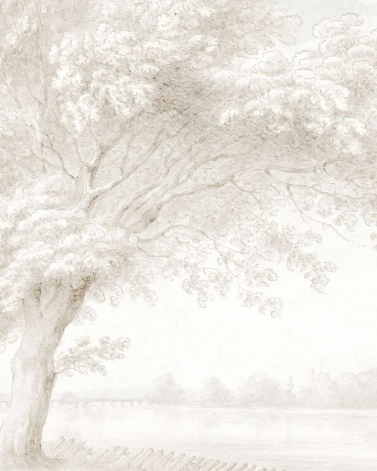 Elm Tree Wallpaper Mural from Olive et Oriel where you can shop wallpaper and artworks online