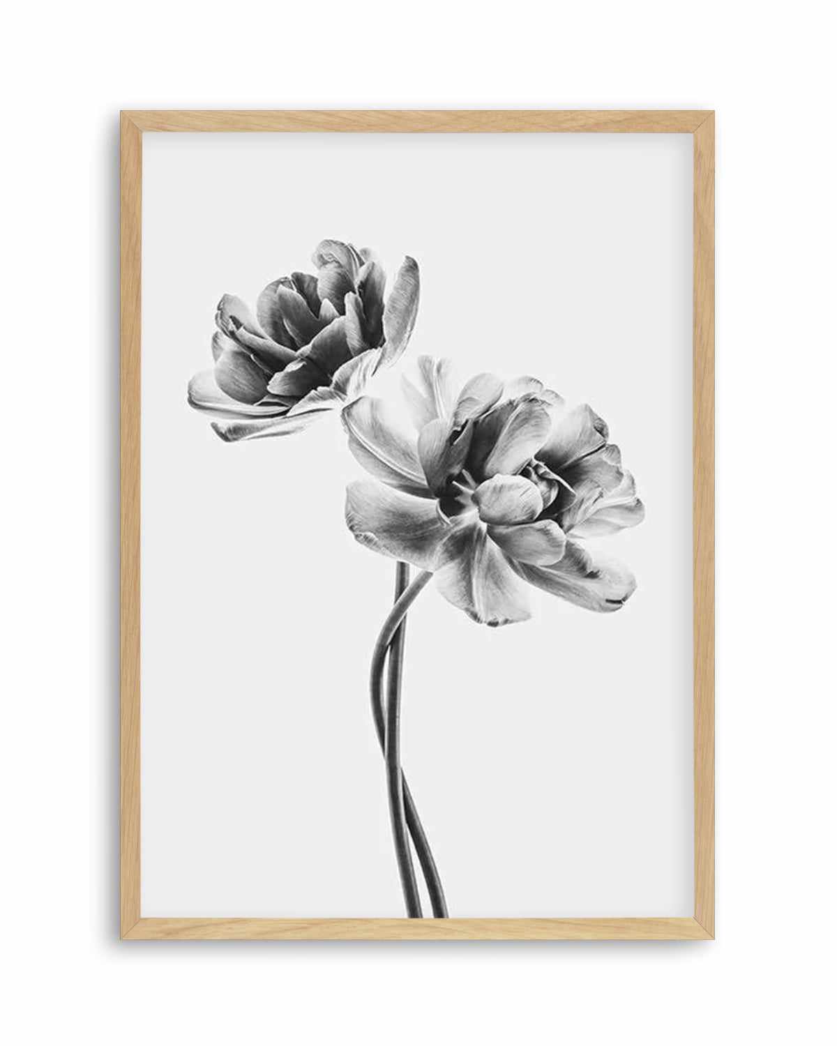 Entwined Poppy En Noir Art Print