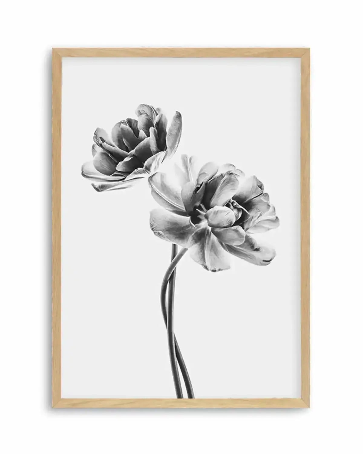 Entwined Poppy En Noir Art Print from Olive et Oriel where you can shop wallpaper and artworks online