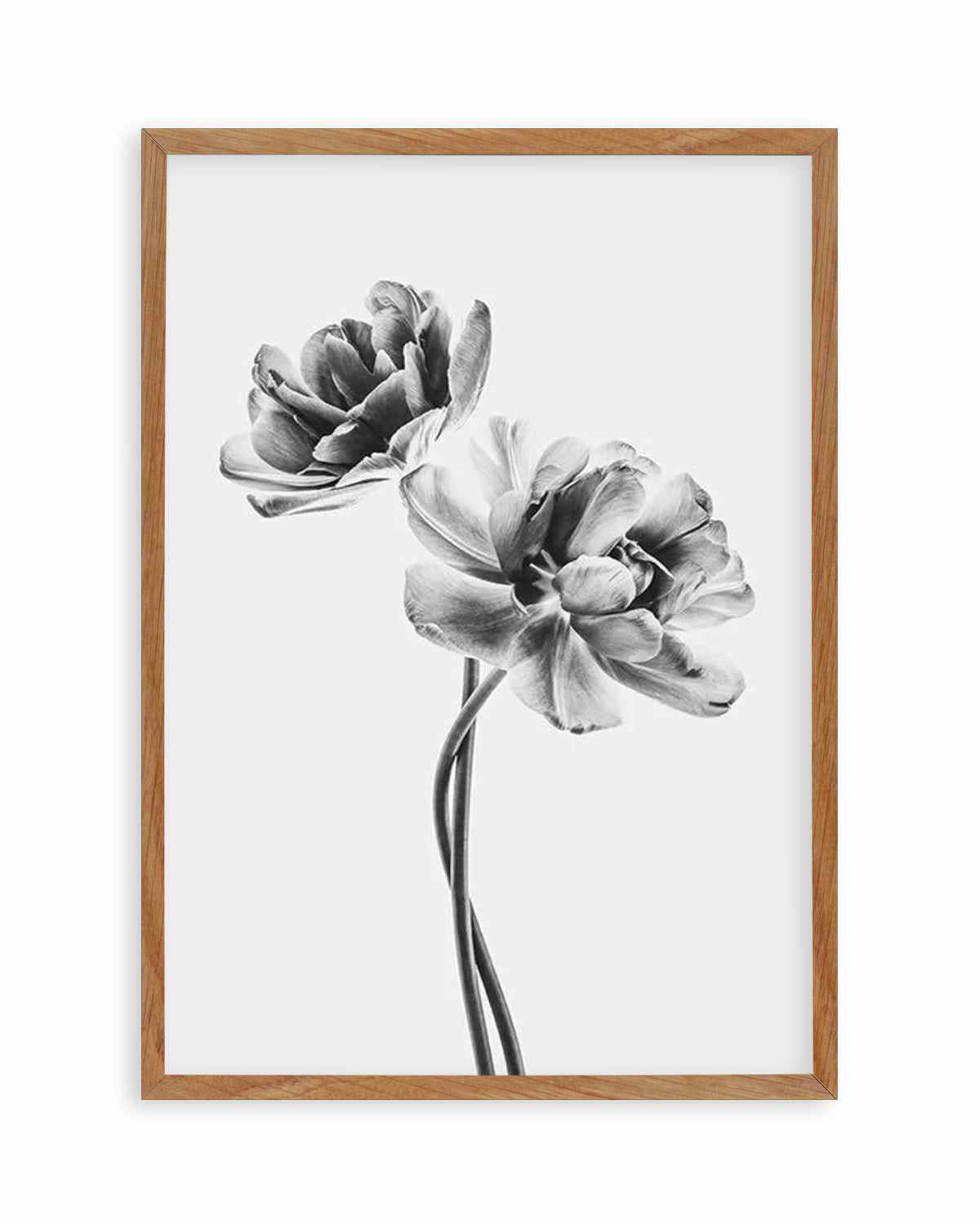 Entwined Poppy En Noir Art Print