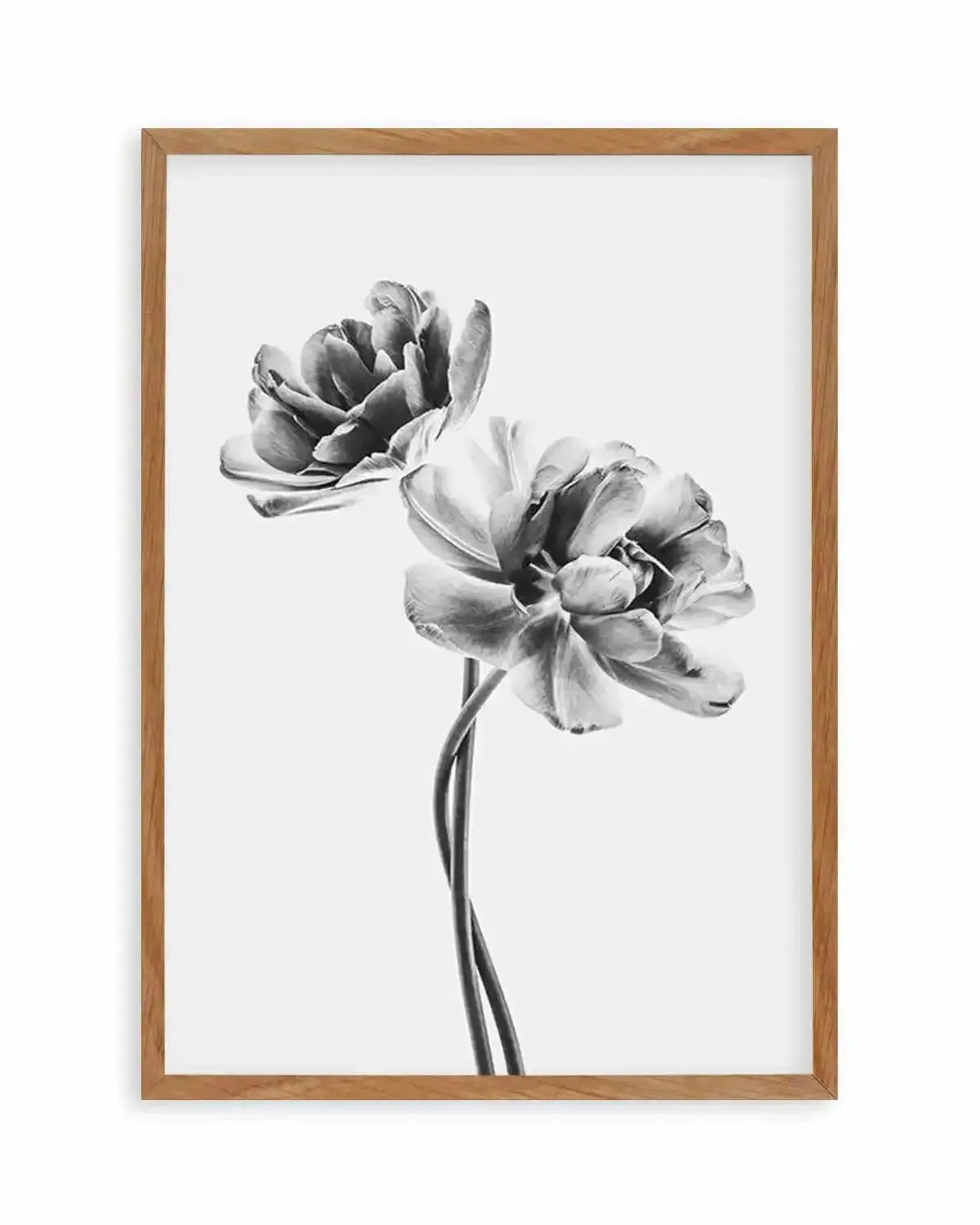 Entwined Poppy En Noir Art Print from Olive et Oriel where you can shop wallpaper and artworks online