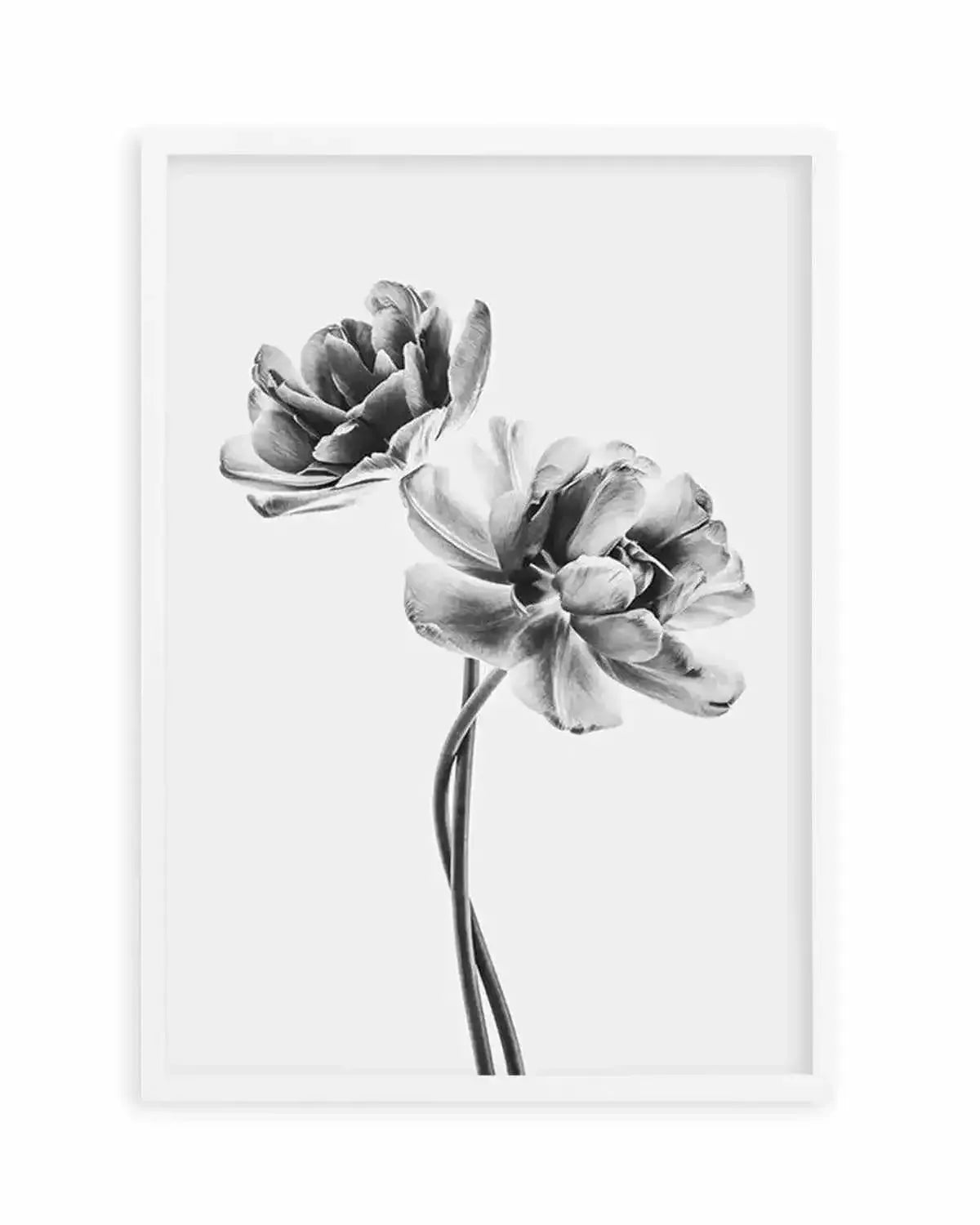 Entwined Poppy En Noir Art Print from Olive et Oriel where you can shop wallpaper and artworks online