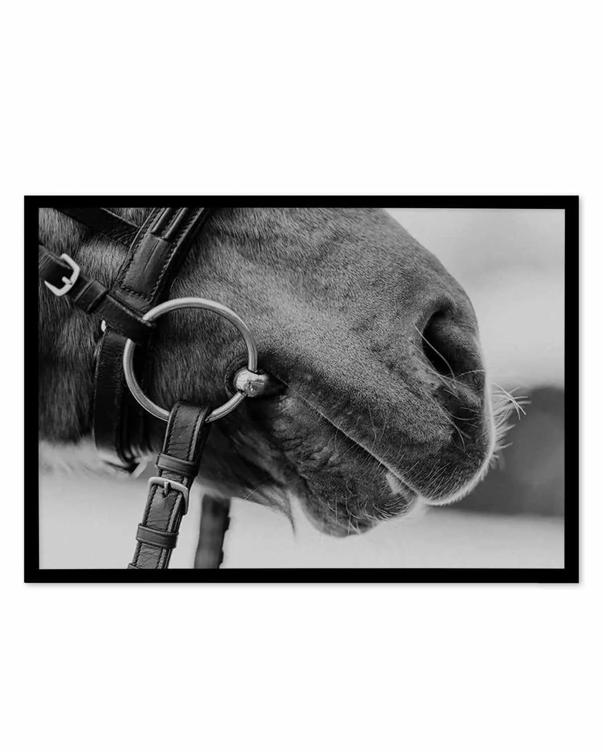 Equestrian Art Print from Olive et Oriel where you can shop wallpaper and artworks online