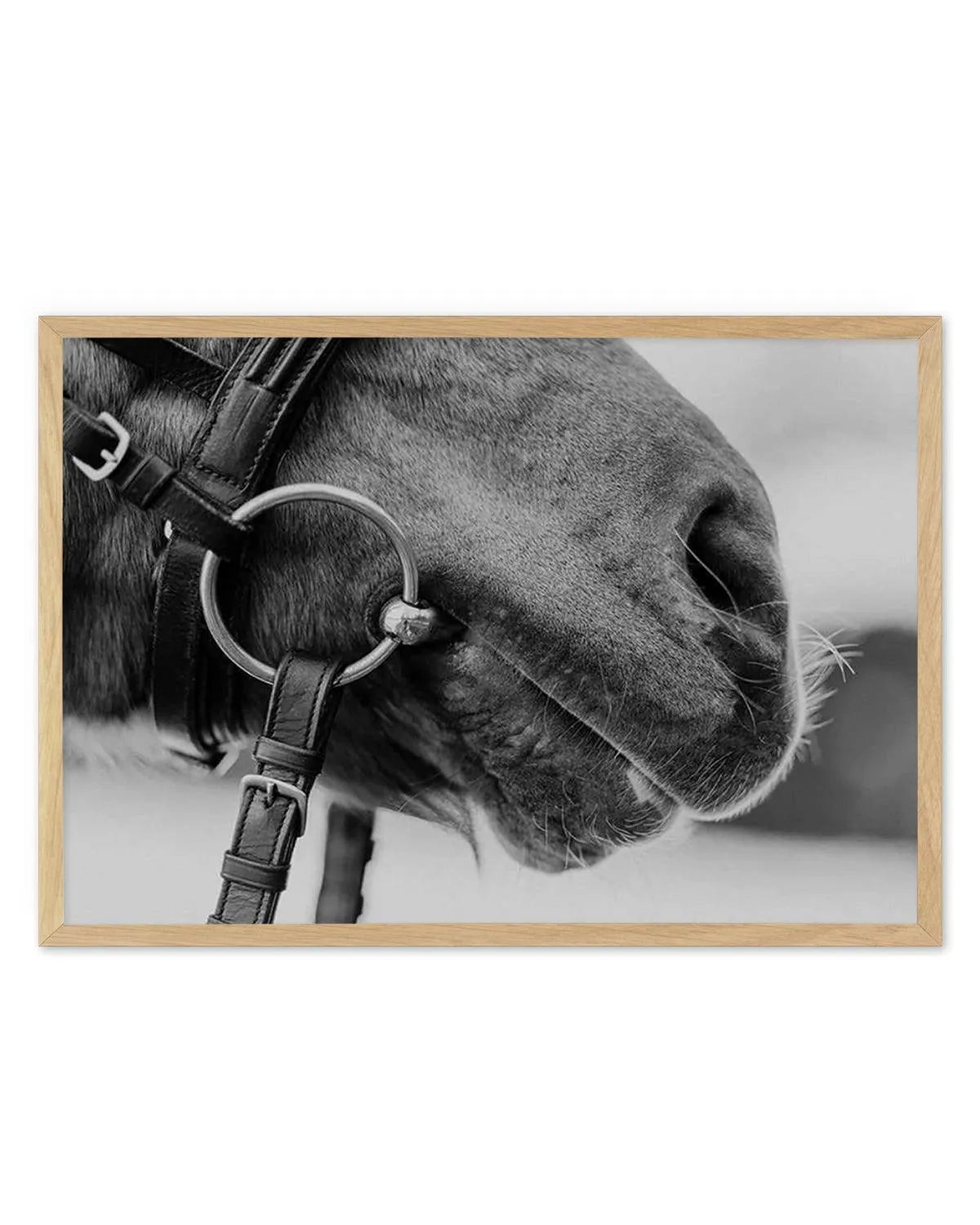 Equestrian Art Print from Olive et Oriel where you can shop wallpaper and artworks online