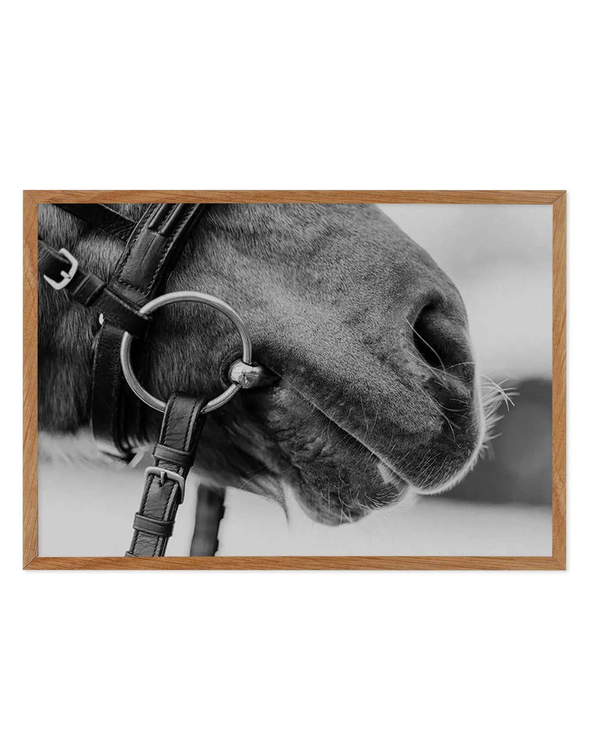 Equestrian Art Print from Olive et Oriel where you can shop wallpaper and artworks online