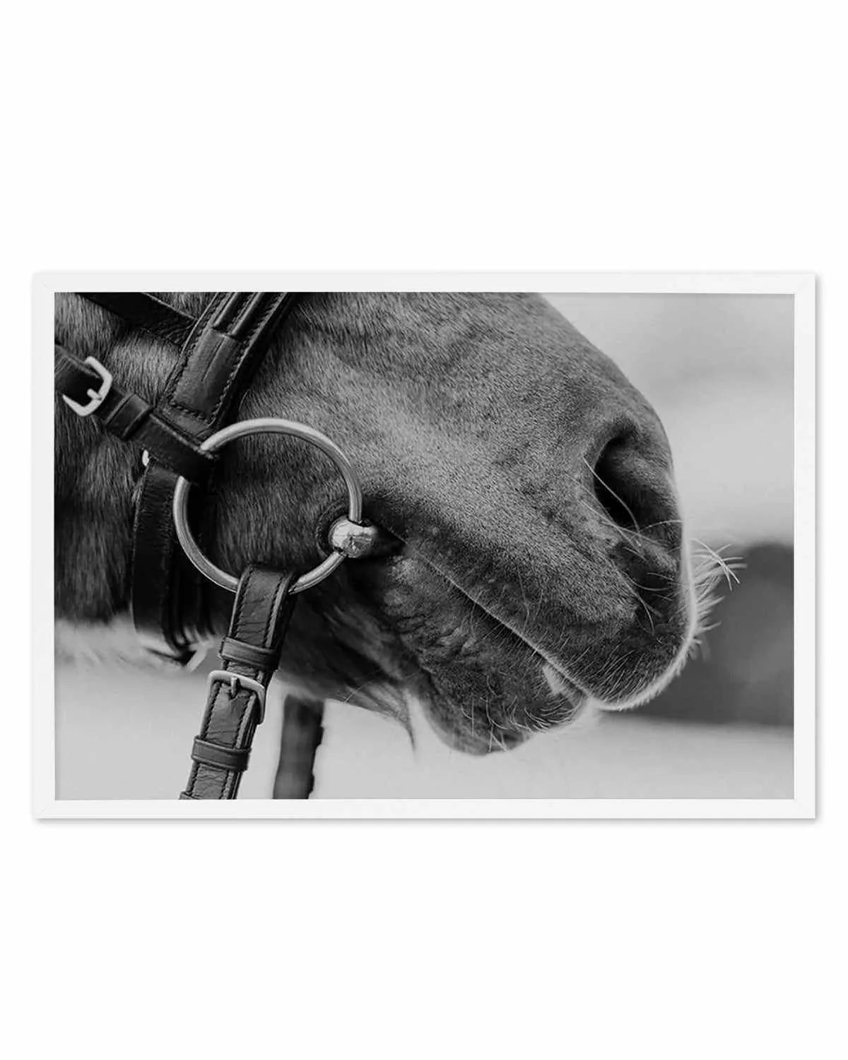 Equestrian Art Print from Olive et Oriel where you can shop wallpaper and artworks online