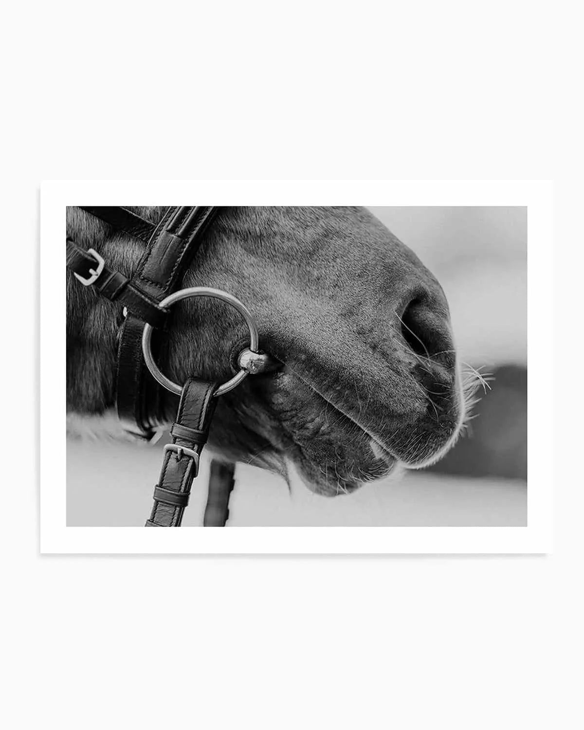 Equestrian Art Print from Olive et Oriel where you can shop wallpaper and artworks online