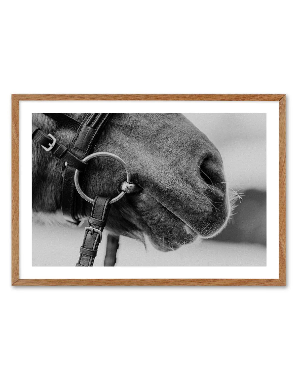 Equestrian Art Print-PRINT-Olive et Oriel-Olive et Oriel-50x70 cm | 19.6" x 27.5"-Walnut-With White Border-Buy-Australian-Art-Prints-Online-with-Olive-et-Oriel-Your-Artwork-Specialists-Austrailia-Decorate-With-Coastal-Photo-Wall-Art-Prints-From-Our-Beach-House-Artwork-Collection-Fine-Poster-and-Framed-Artwork