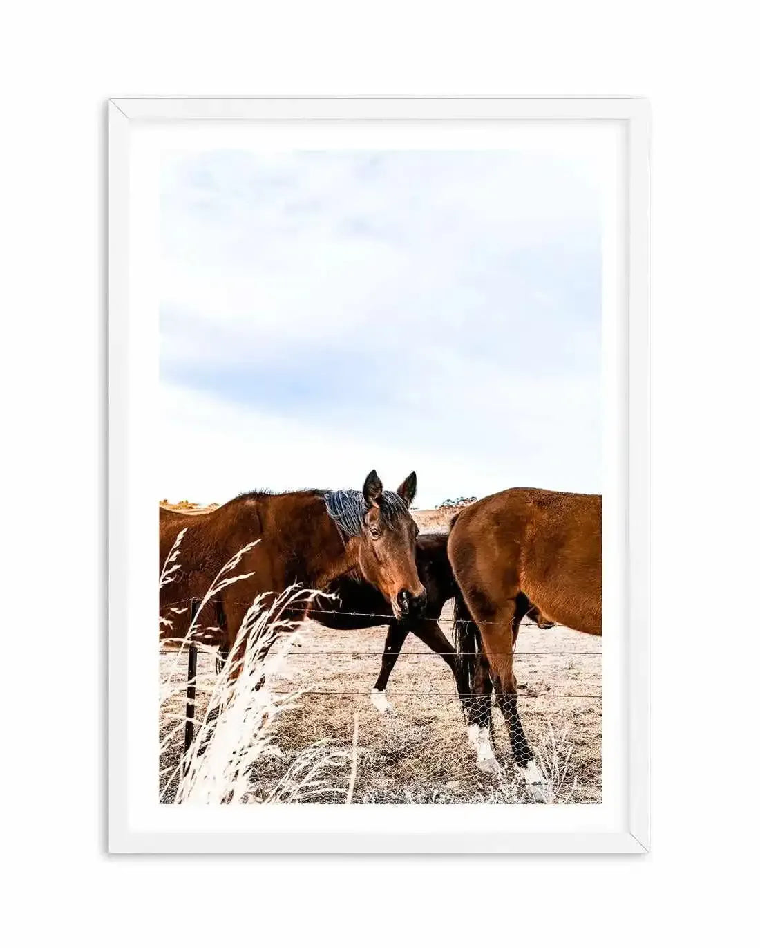 Equestrian Art Print-PRINT-Olive et Oriel-Olive et Oriel-A5 | 5.8" x 8.3" | 14.8 x 21cm-White-With White Border-Buy-Australian-Art-Prints-Online-with-Olive-et-Oriel-Your-Artwork-Specialists-Austrailia-Decorate-With-Coastal-Photo-Wall-Art-Prints-From-Our-Beach-House-Artwork-Collection-Fine-Poster-and-Framed-Artwork