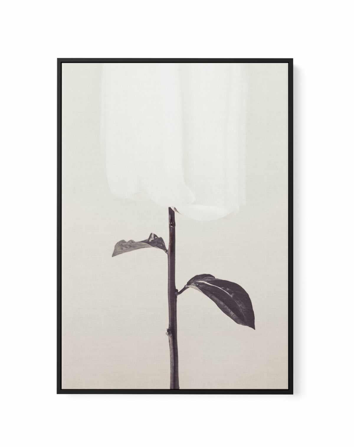 Ethereal Fabric Flower | Framed Canvas Art Print