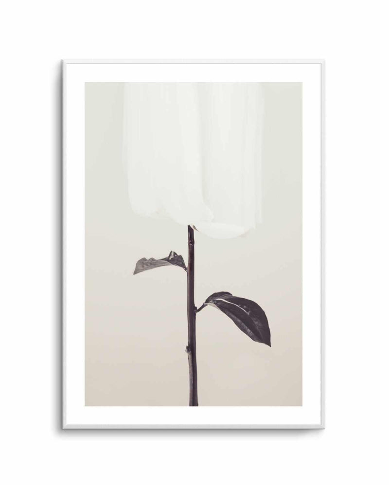 Ethereal Fabric Flower | Art Print