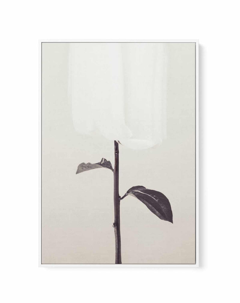 Ethereal Fabric Flower | Framed Canvas Art Print