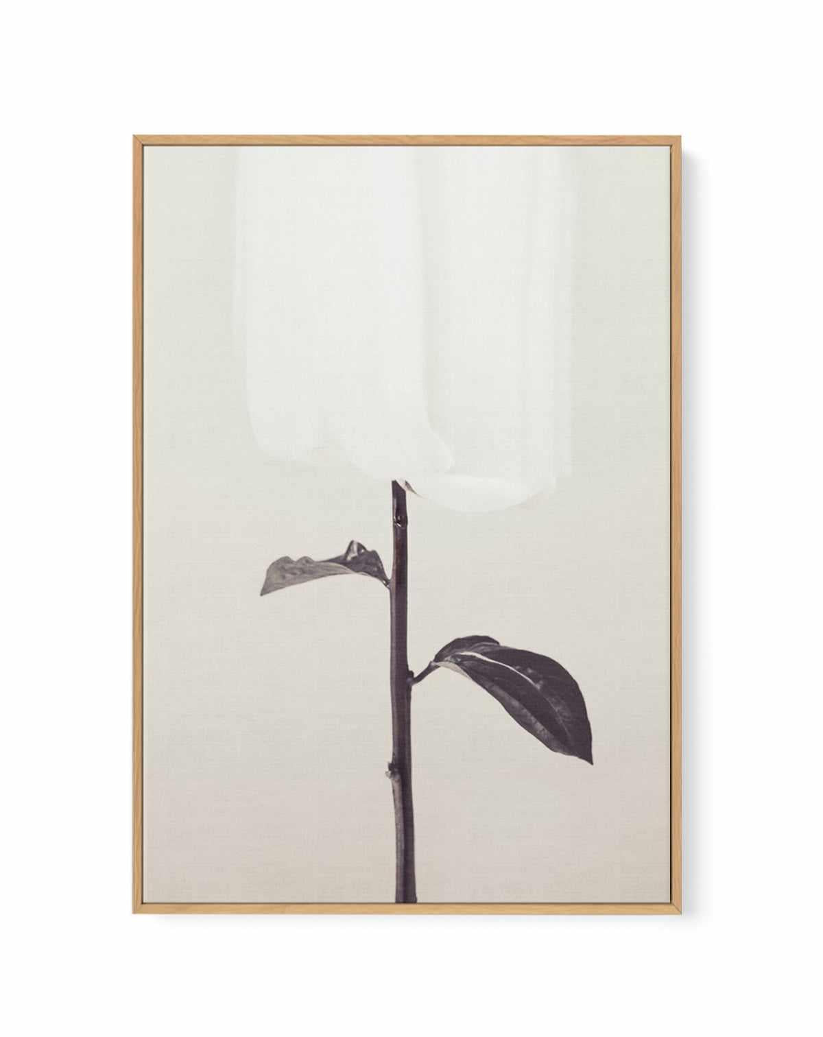 Ethereal Fabric Flower | Framed Canvas Art Print