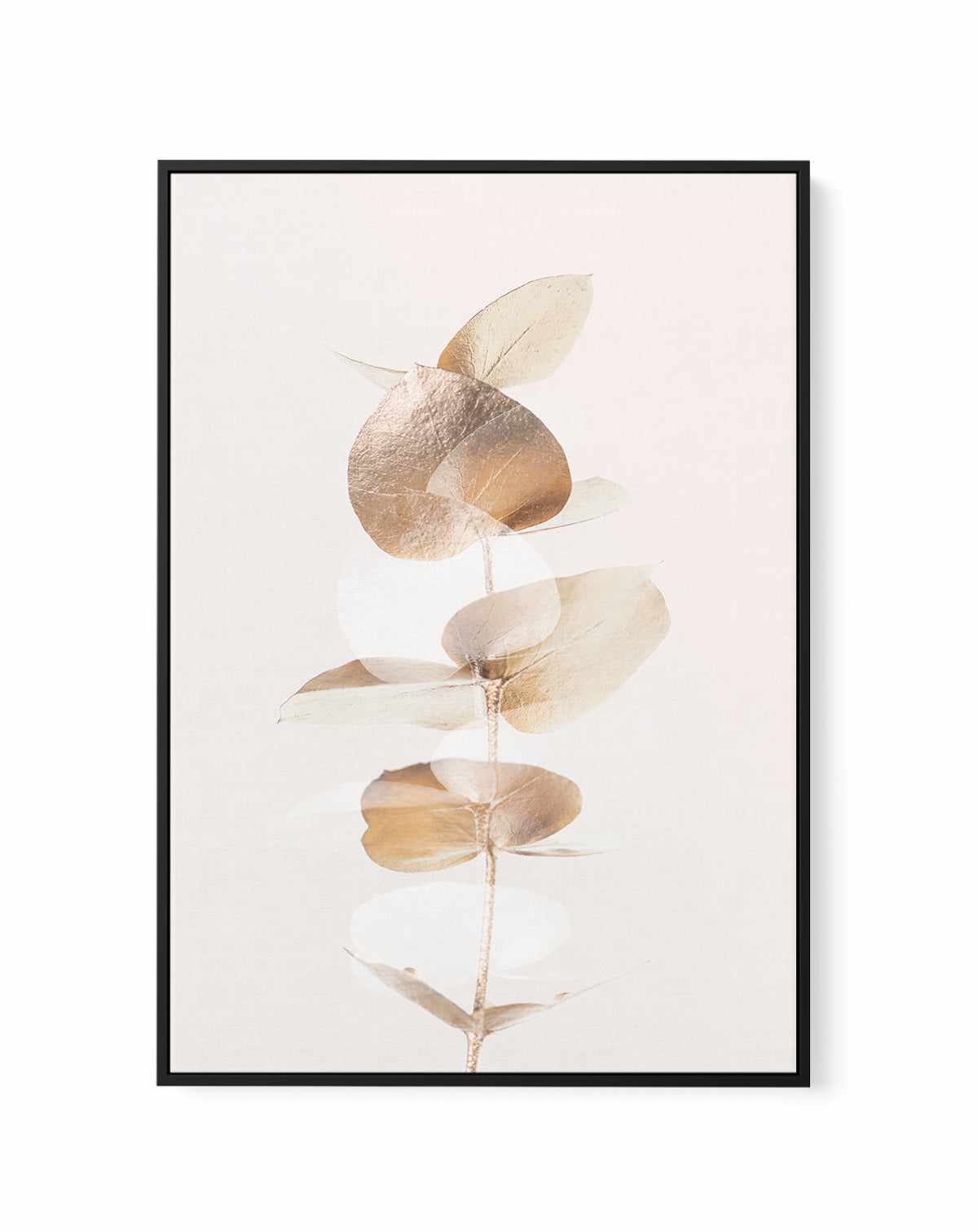 Eucalyptus Creative Gold IV By Studio III | Framed Canvas Art Print from Olive et Oriel where you can shop wallpaper and artworks online
