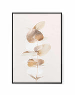 Eucalyptus Creative Gold IV By Studio III | Framed Canvas Art Print