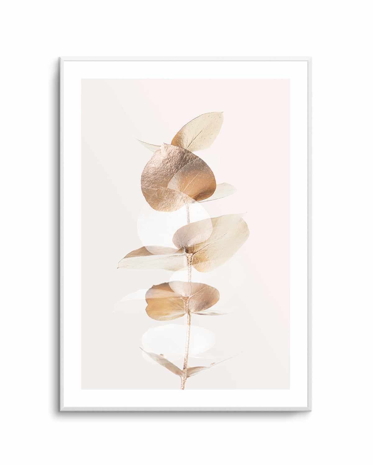 Eucalyptus Creative Gold IV By Studio III | Art Print