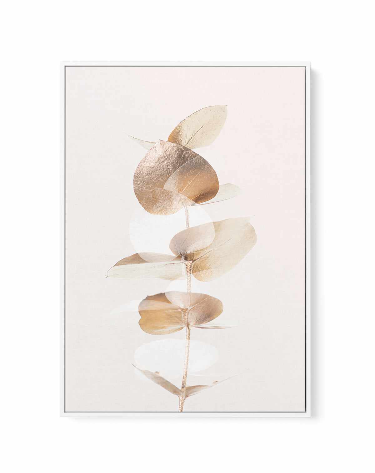 Eucalyptus Creative Gold IV By Studio III | Framed Canvas Art Print from Olive et Oriel where you can shop wallpaper and artworks online