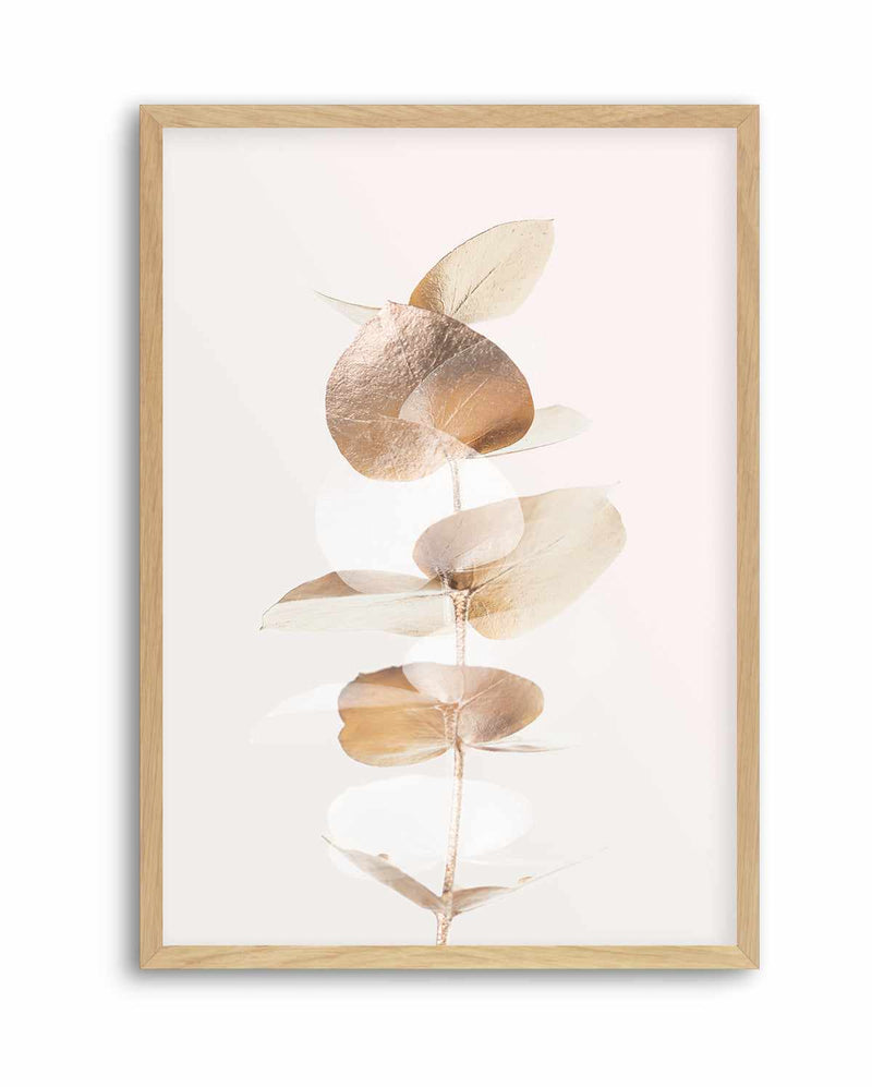 Eucalyptus Creative Gold IV By Studio III | Art Print