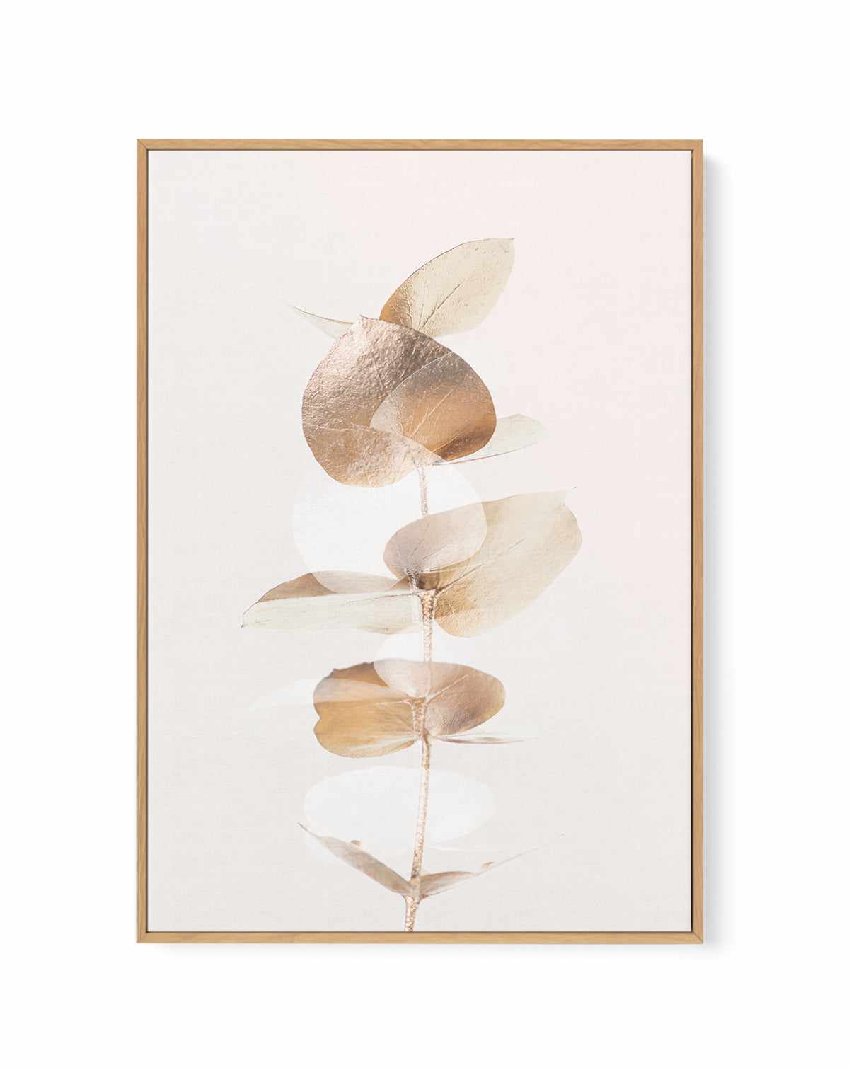 Eucalyptus Creative Gold IV By Studio III | Framed Canvas Art Print from Olive et Oriel where you can shop wallpaper and artworks online