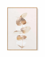 Eucalyptus Creative Gold IV By Studio III | Framed Canvas Art Print