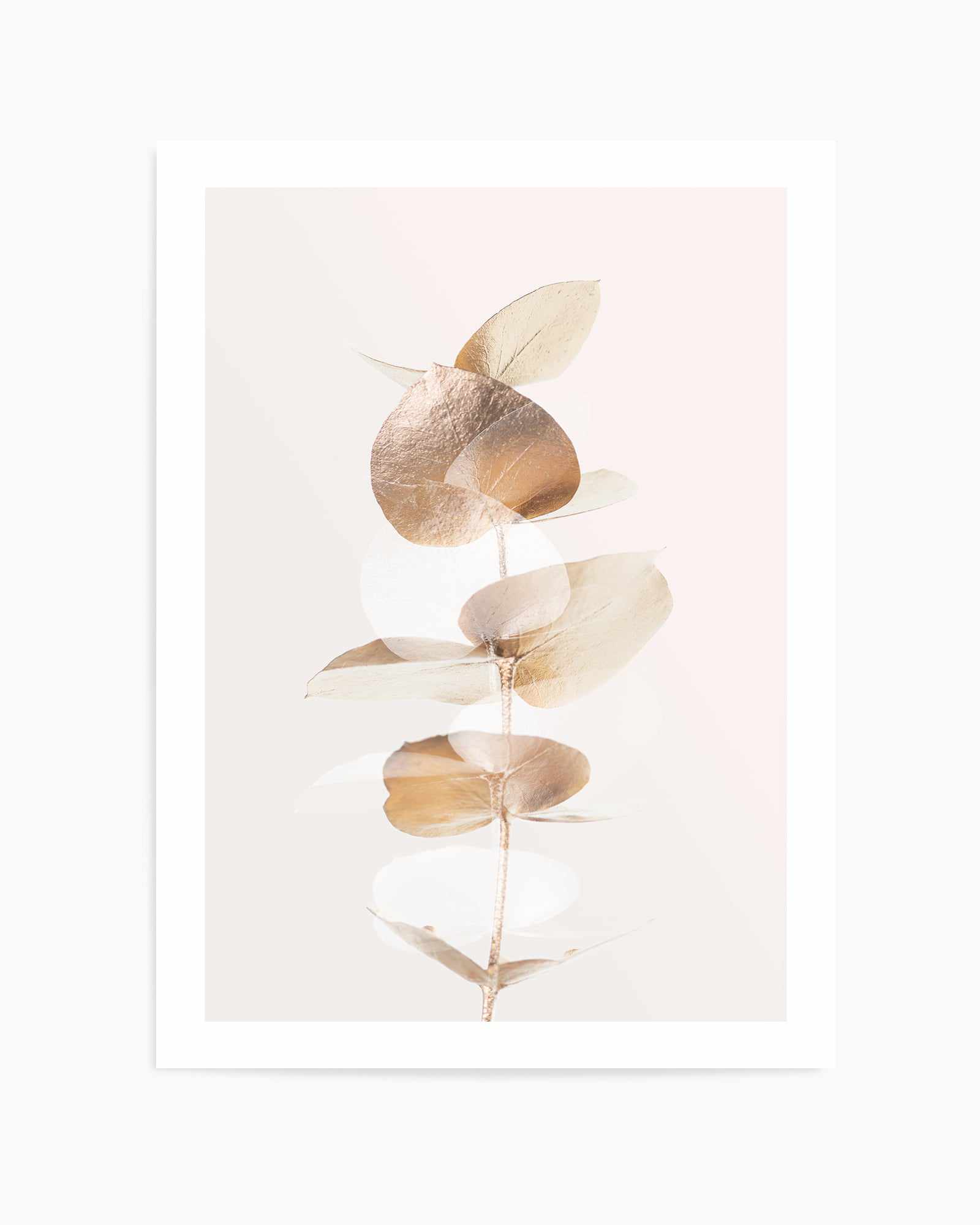 Eucalyptus Creative Gold IV By Studio III | Art Print from Olive et Oriel where you can shop wallpaper and artworks online