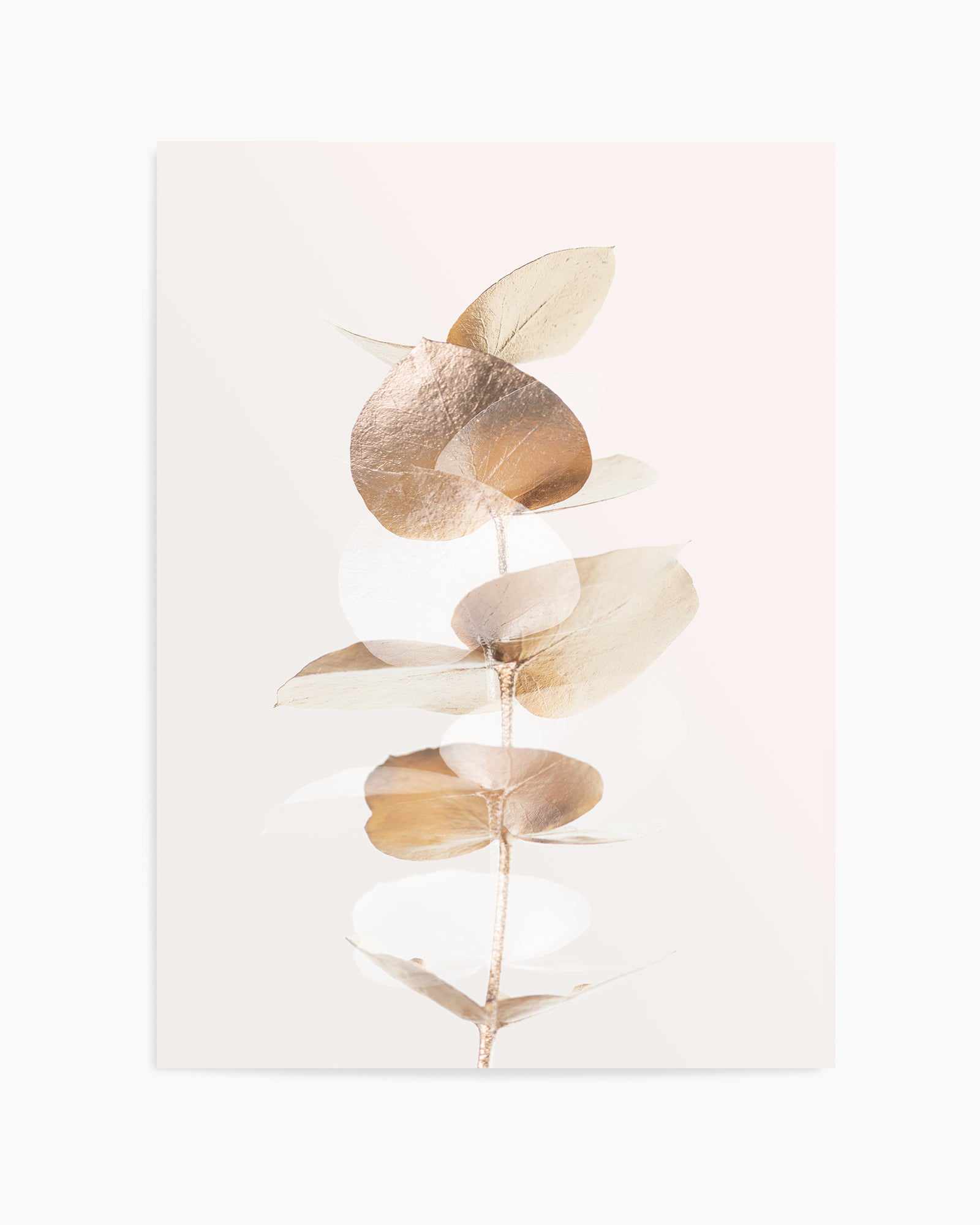 Eucalyptus Creative Gold IV By Studio III | Art Print from Olive et Oriel where you can shop wallpaper and artworks online