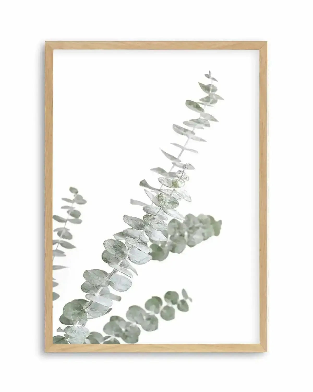 Eucalyptus Gum I Art Print from Olive et Oriel where you can shop wallpaper and artworks online