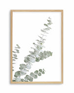 Eucalyptus Gum I Art Print