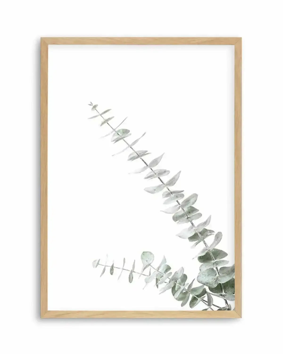Eucalyptus Gum II Art Print from Olive et Oriel where you can shop wallpaper and artworks online