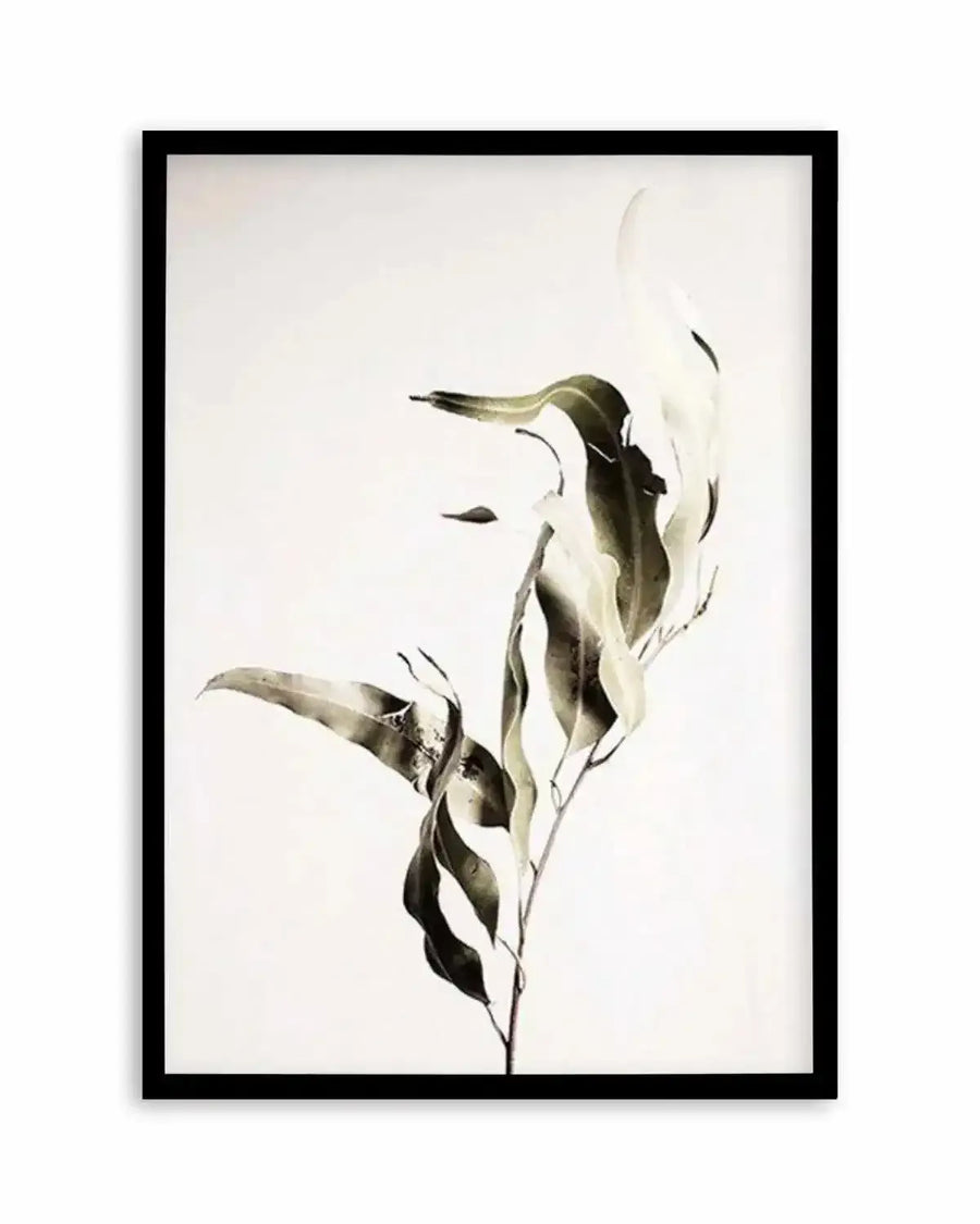 Eucalyptus I Art Print art print, framed