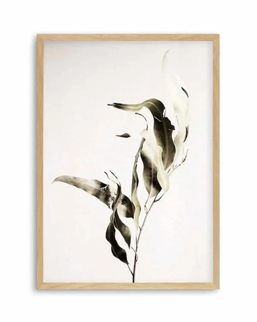 Eucalyptus I Art Print art print, framed