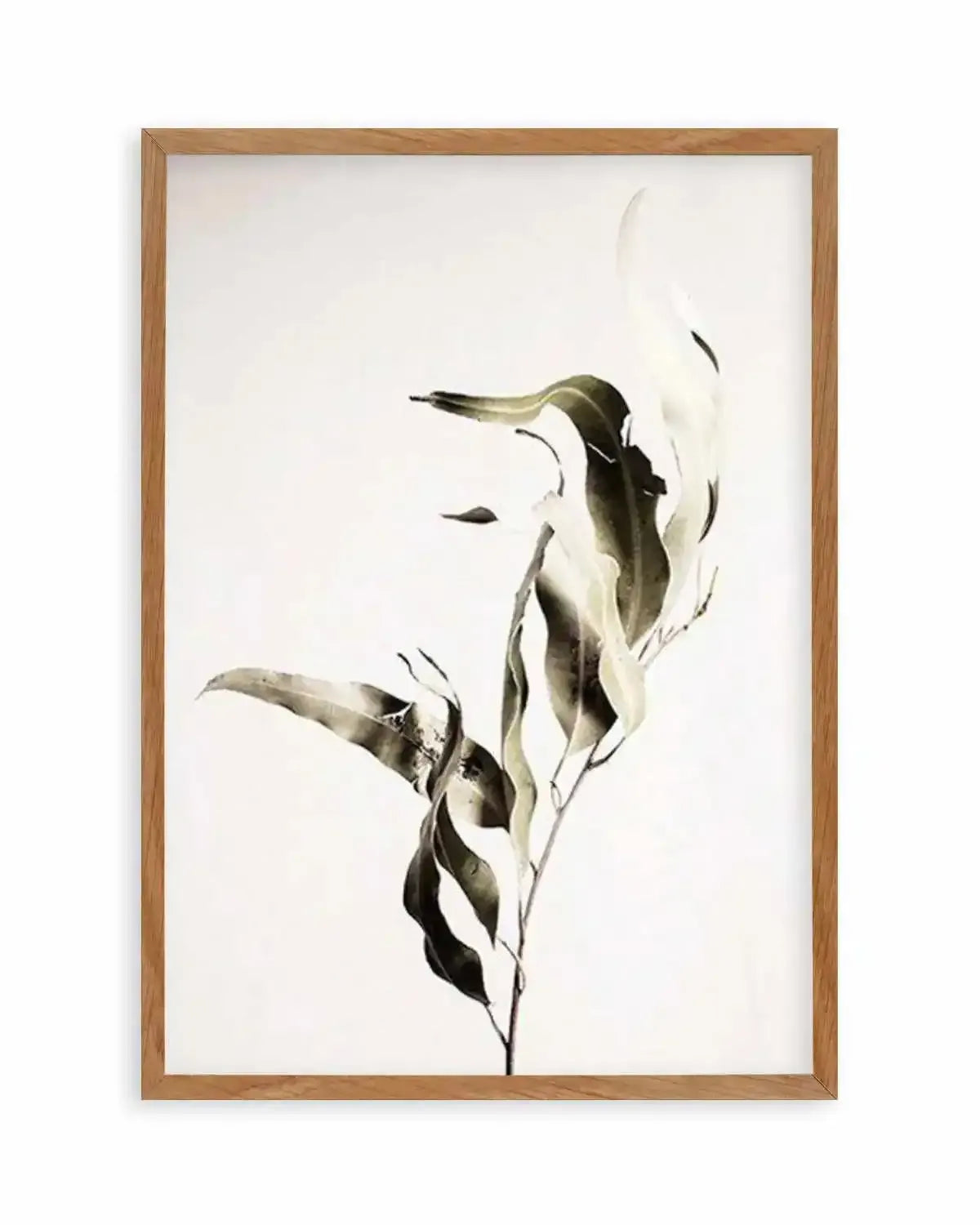 Eucalyptus I Art Print from Olive et Oriel where you can shop wallpaper and artworks online