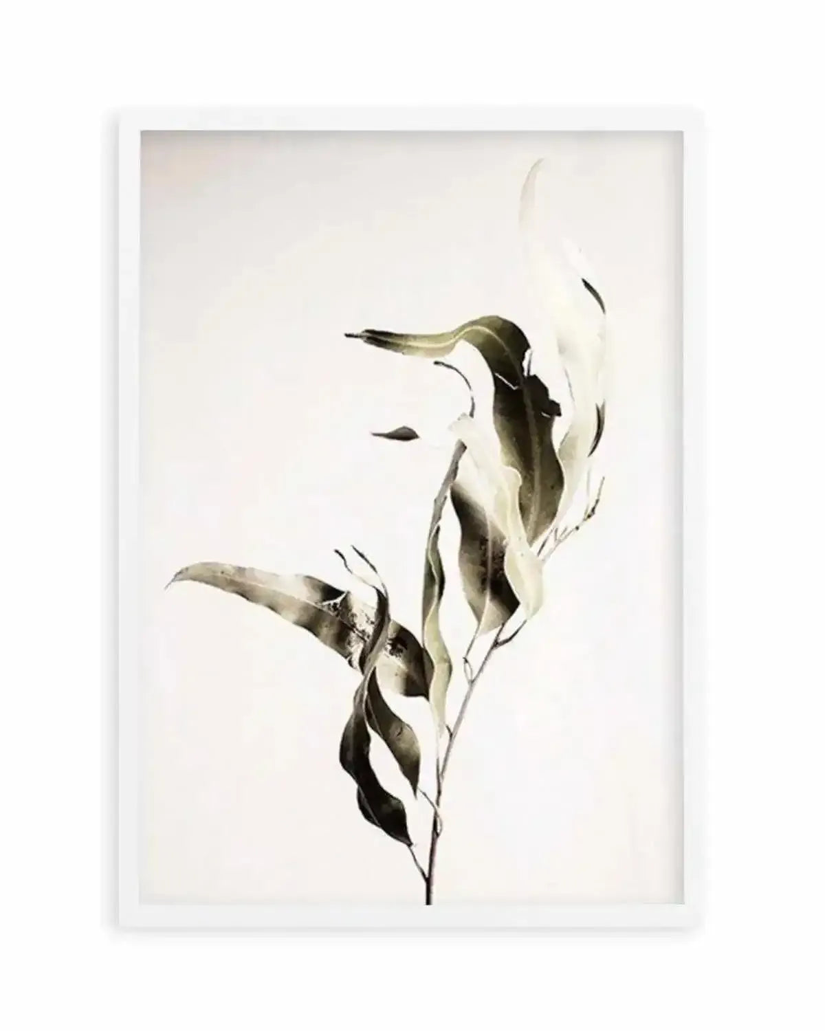Eucalyptus I Art Print from Olive et Oriel where you can shop wallpaper and artworks online