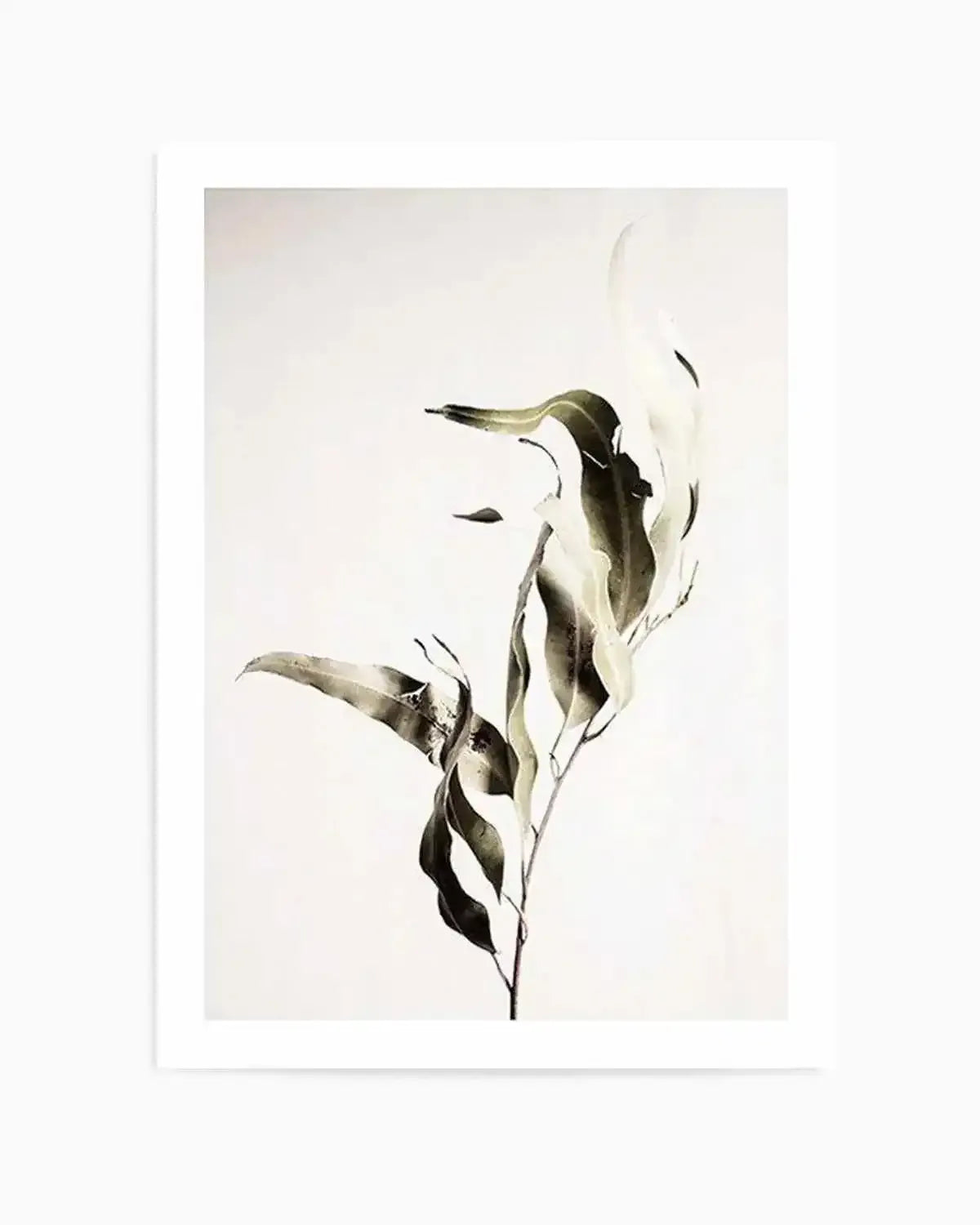 Eucalyptus I Art Print from Olive et Oriel where you can shop wallpaper and artworks online