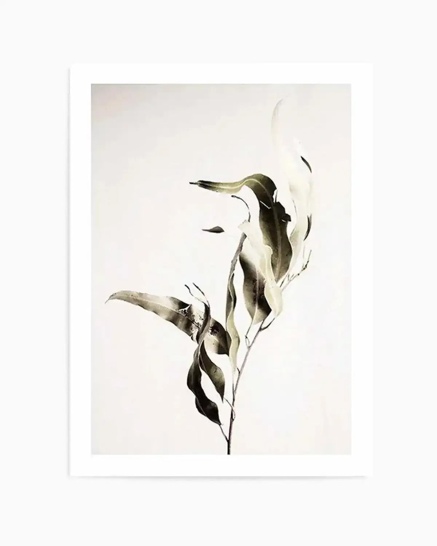 Eucalyptus I Art Print art print, framed
