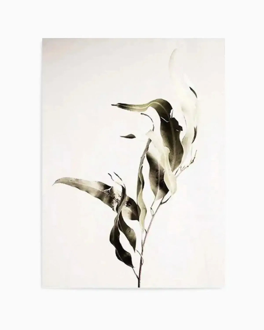 Eucalyptus I Art Print art print, framed