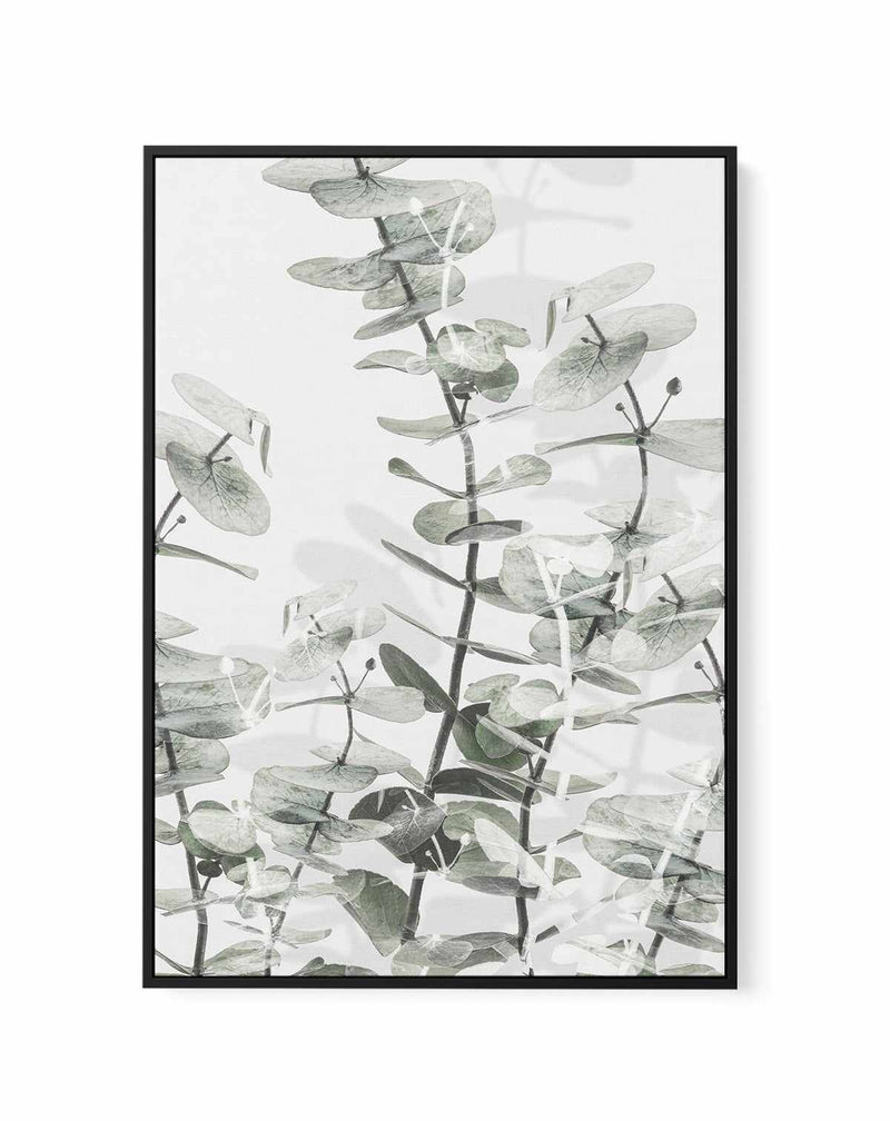 Eucalyptus I  By Studio III | Framed Canvas Art Print