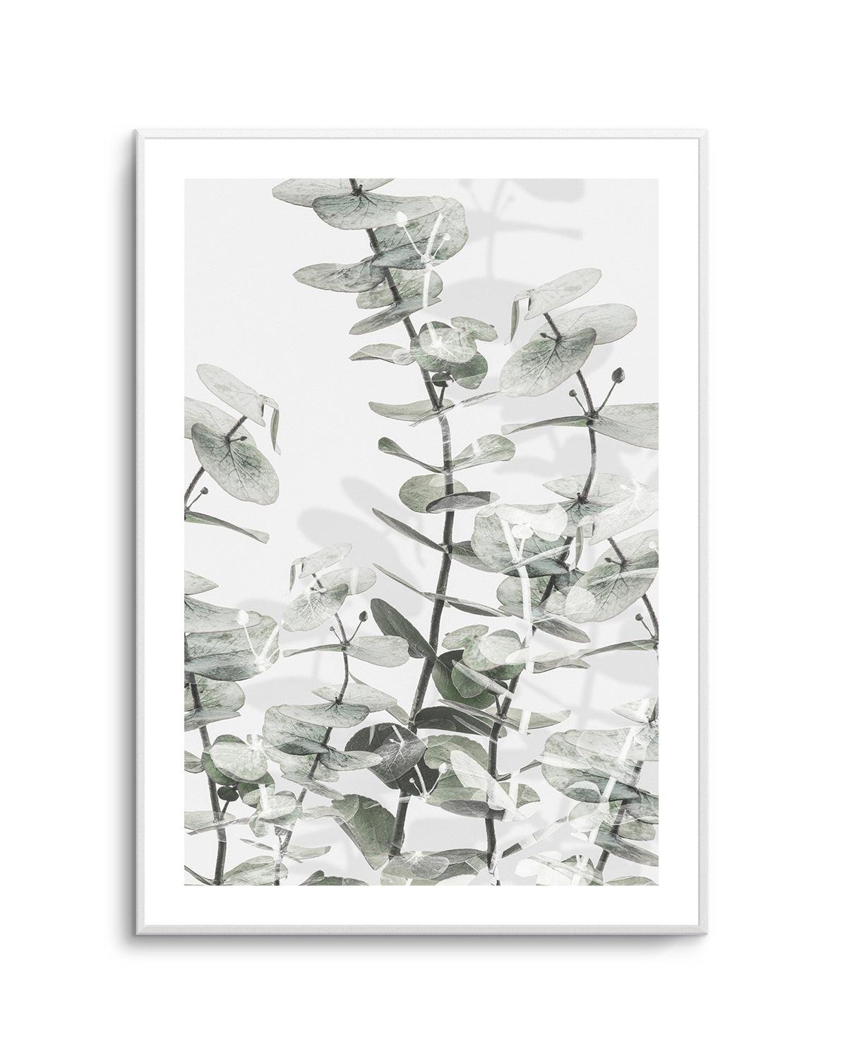 Eucalyptus I  By Studio III | Art Print