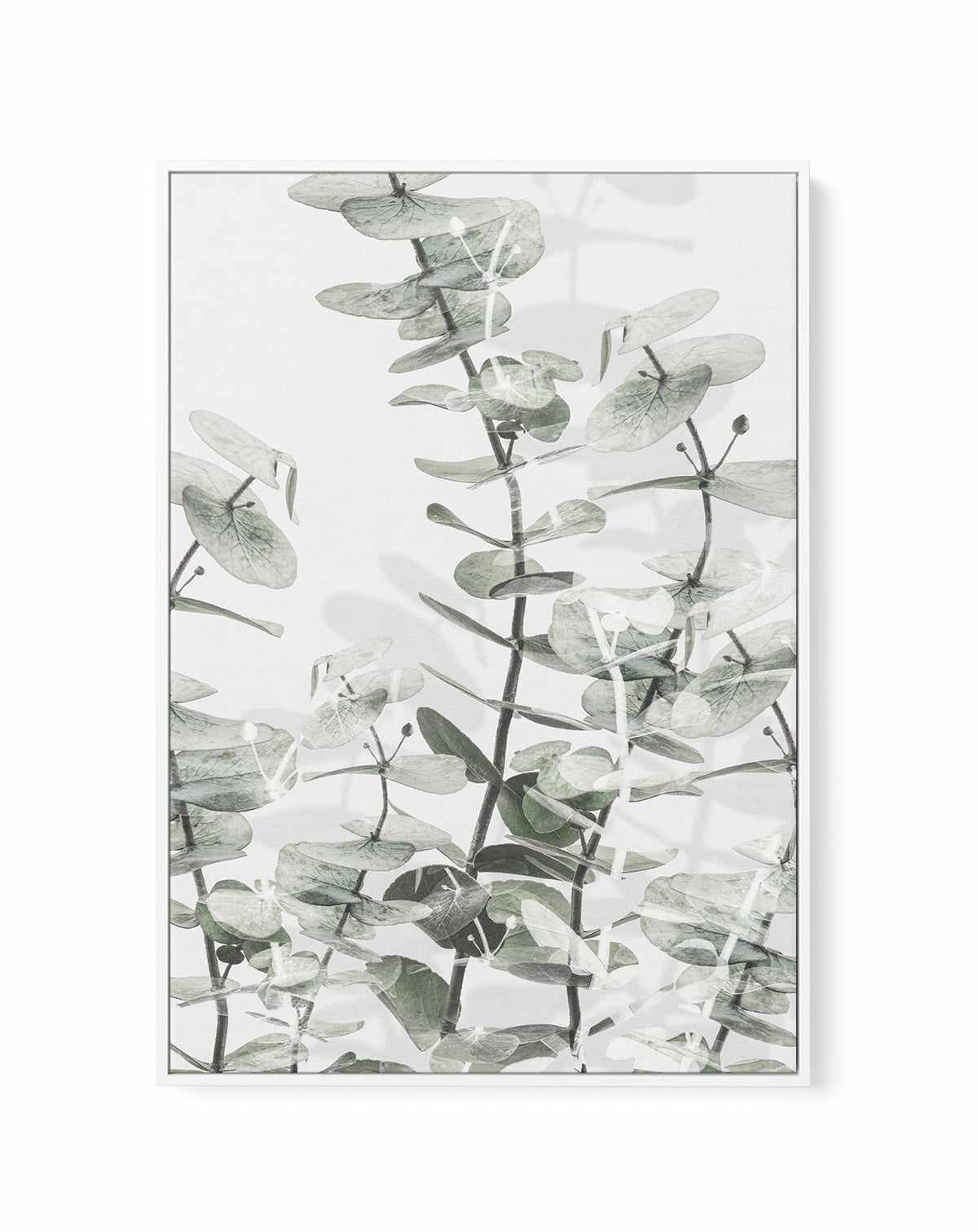 Eucalyptus I  By Studio III | Framed Canvas Art Print